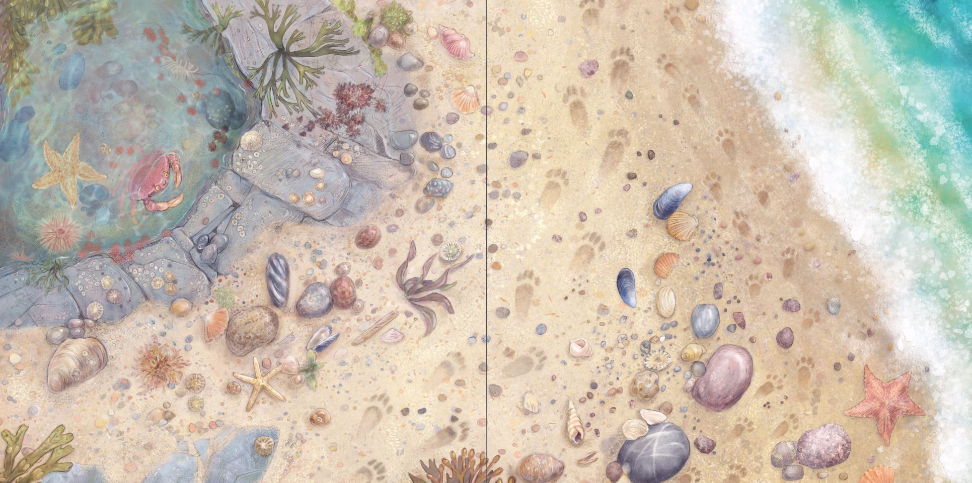 celebrate-picture-books-picture-book-review-Petra-Brown-interview-endpaper