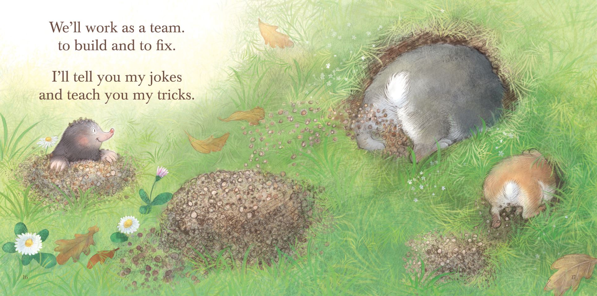 celebrate-picture-books-picture-book-review-Petra-Brown-interview-mole