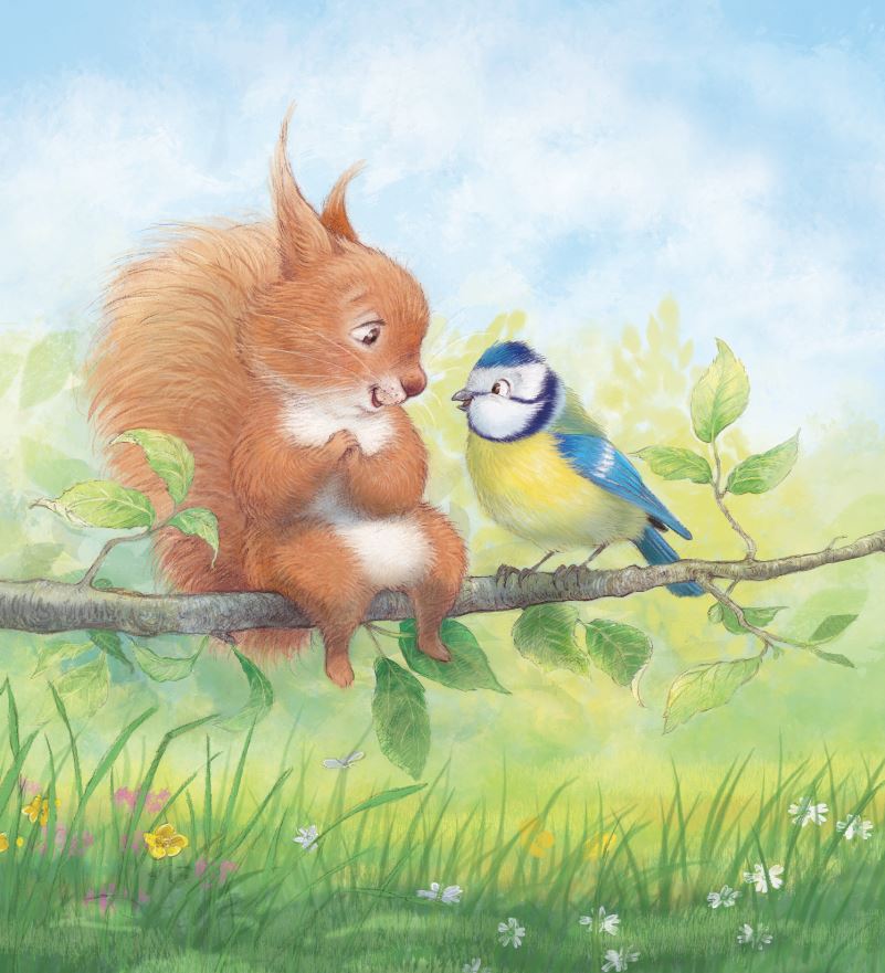 celebrate-picture-books-picture-book-review-Petra-Brown-interview-red-squirrel