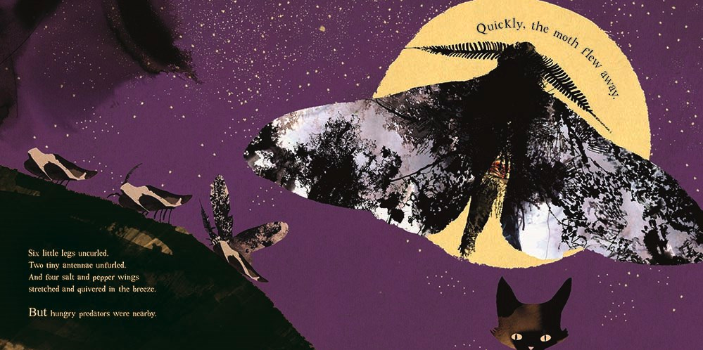 celebrate-picture-books-picture-book-review-moth-predators