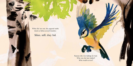 celebrate-picture-books-picture-book-review-moth-bird