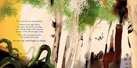 celebrate-picture-books-picture-book-review-moth-evolution
