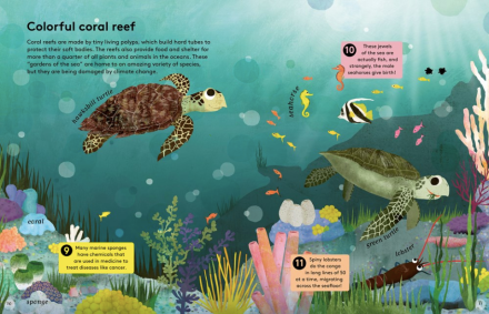celebrate-picture-books-picture-book-review-50-reasons-to-love-animals-coral-reef