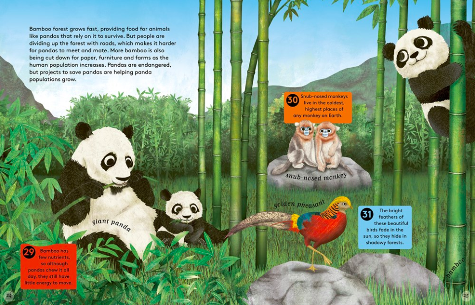 celebrate-picture-books-picture-book-review-50-reasons-to-love-animals-pandas