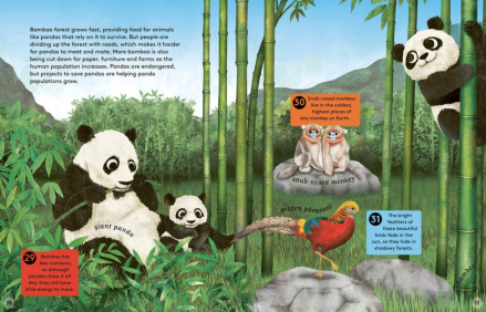 celebrate-picture-books-picture-book-review-50-reasons-to-love-animals-pandas