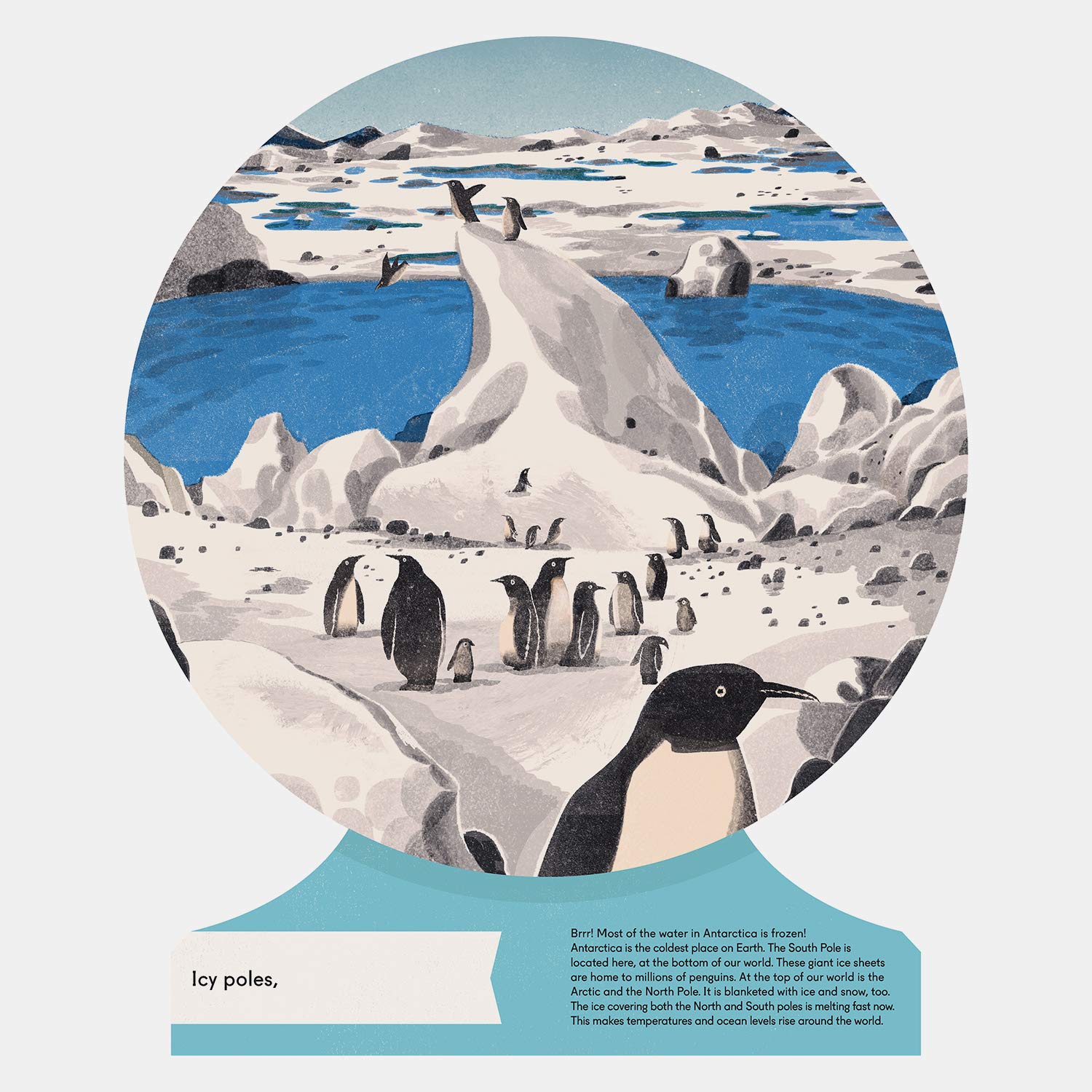 celebrate-picture-books-picture-book-review-our-world-antarctica