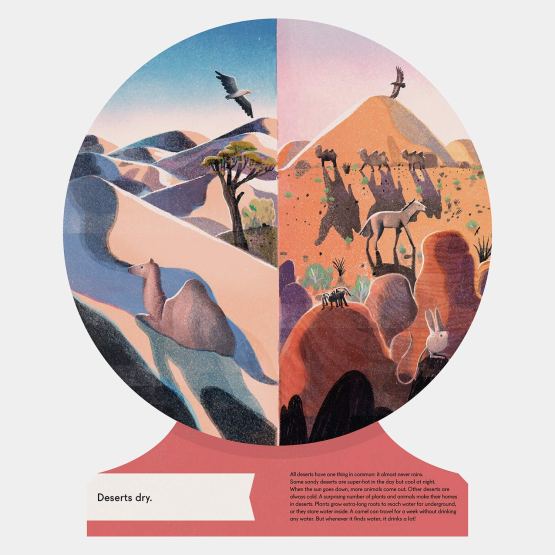 celebrate-picture-books-picture-book-review-our-world-deserts