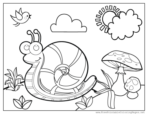 celebrate-picture-books-picture-book-review-snail-coloring-page-2