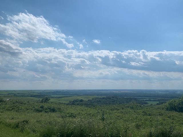 celebrate-picture-books-picture-book-review-Sue-Gallion-interview-Konza-Prairie