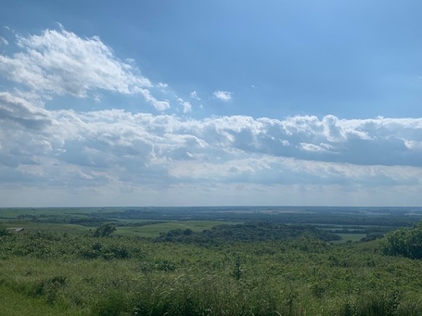 celebrate-picture-books-picture-book-review-Sue-Gallion-interview-Konza-Prairie