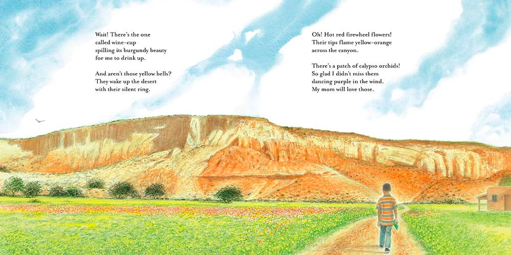 celebrate-picture-books-picture-book-review-southwest-sunrise-firewheel-flowers