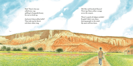 celebrate-picture-books-picture-book-review-southwest-sunrise-firewheel-flowers