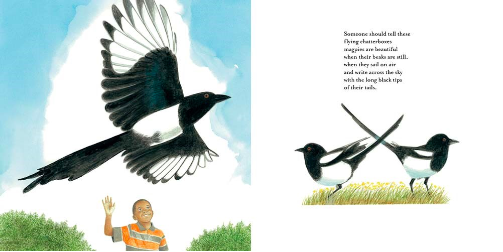 celebrate-picture-books-picture-book-review-southwest-sunrise-magpies