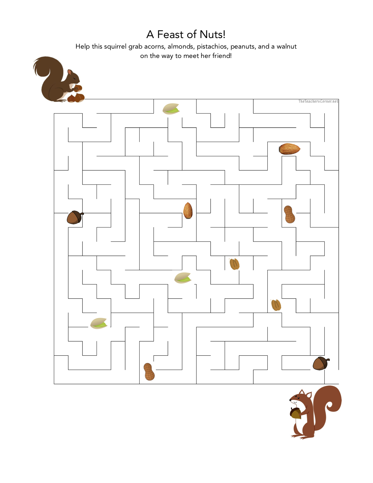 celebrate-picture-books-picture-book-review-squirrel-maze-puzzle