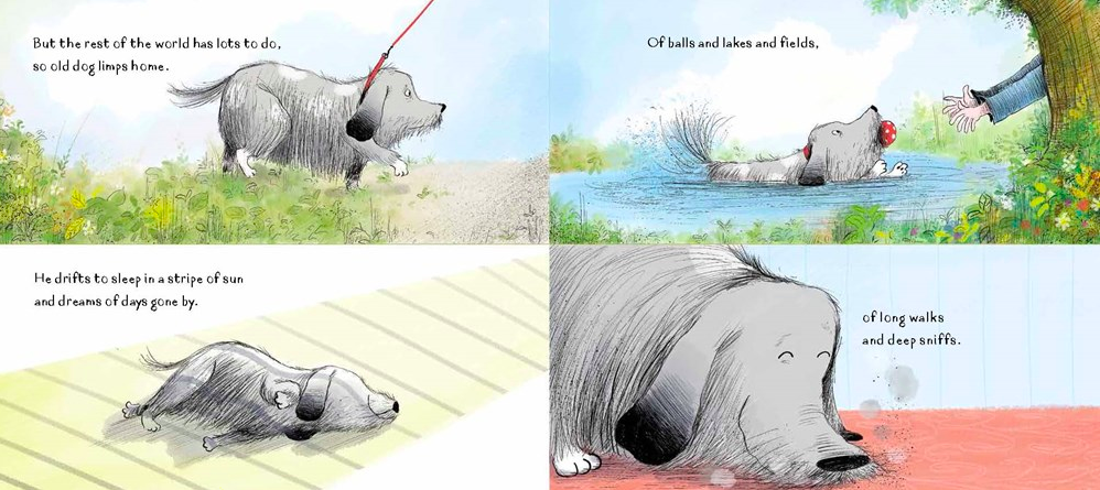 celebrate-picture-books-picture-book-review-this-old-dog-dreams