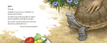 celebrate-picture-books-picture-book-review-memoirs-of-a-tortoise-april