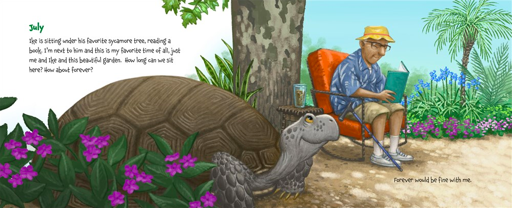celebrate-picture-books-picture-book-review-memoirs-of-a-tortoise-july