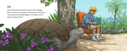 celebrate-picture-books-picture-book-review-memoirs-of-a-tortoise-july