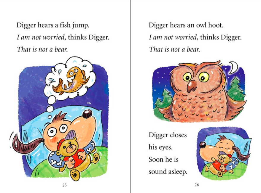 celebrate-picture-books-picture-book-review-digger-and-daisy-go-camping-owl