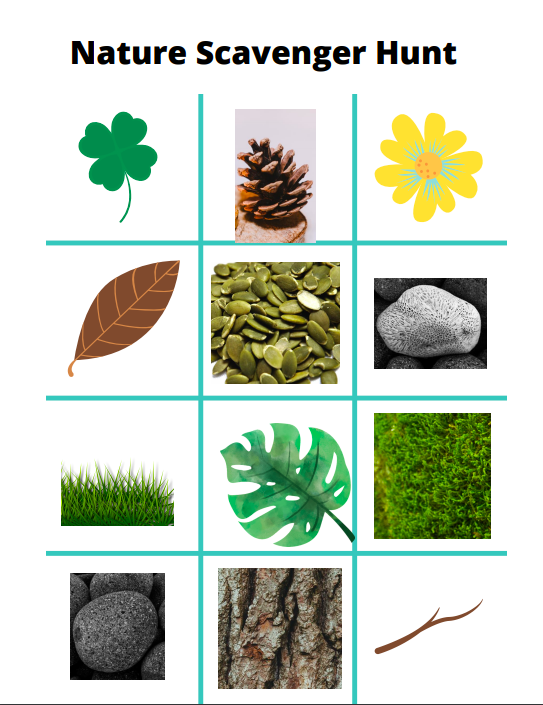 celebrate-picture-books-picture-book-review-nature-scavenger-hunt