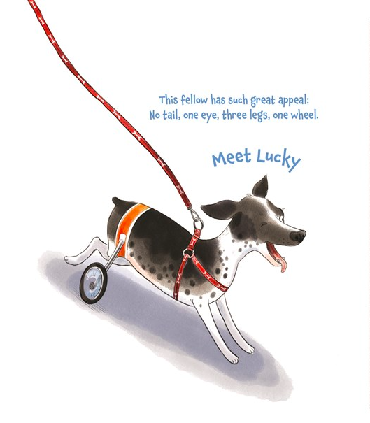 celebrate-picture-books-picture-book-review-tails-from-the-animal-shelter-special-needs-pets
