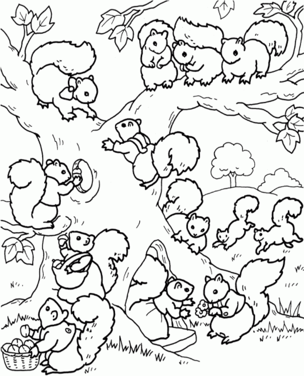 celebrate-picture-books-picture-book-review-squirrel-community-coloring-page