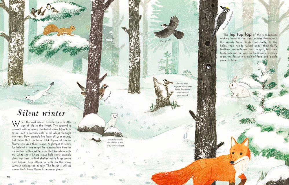 celebrate-picture-books-picture-book-review-into-the-forest-winter