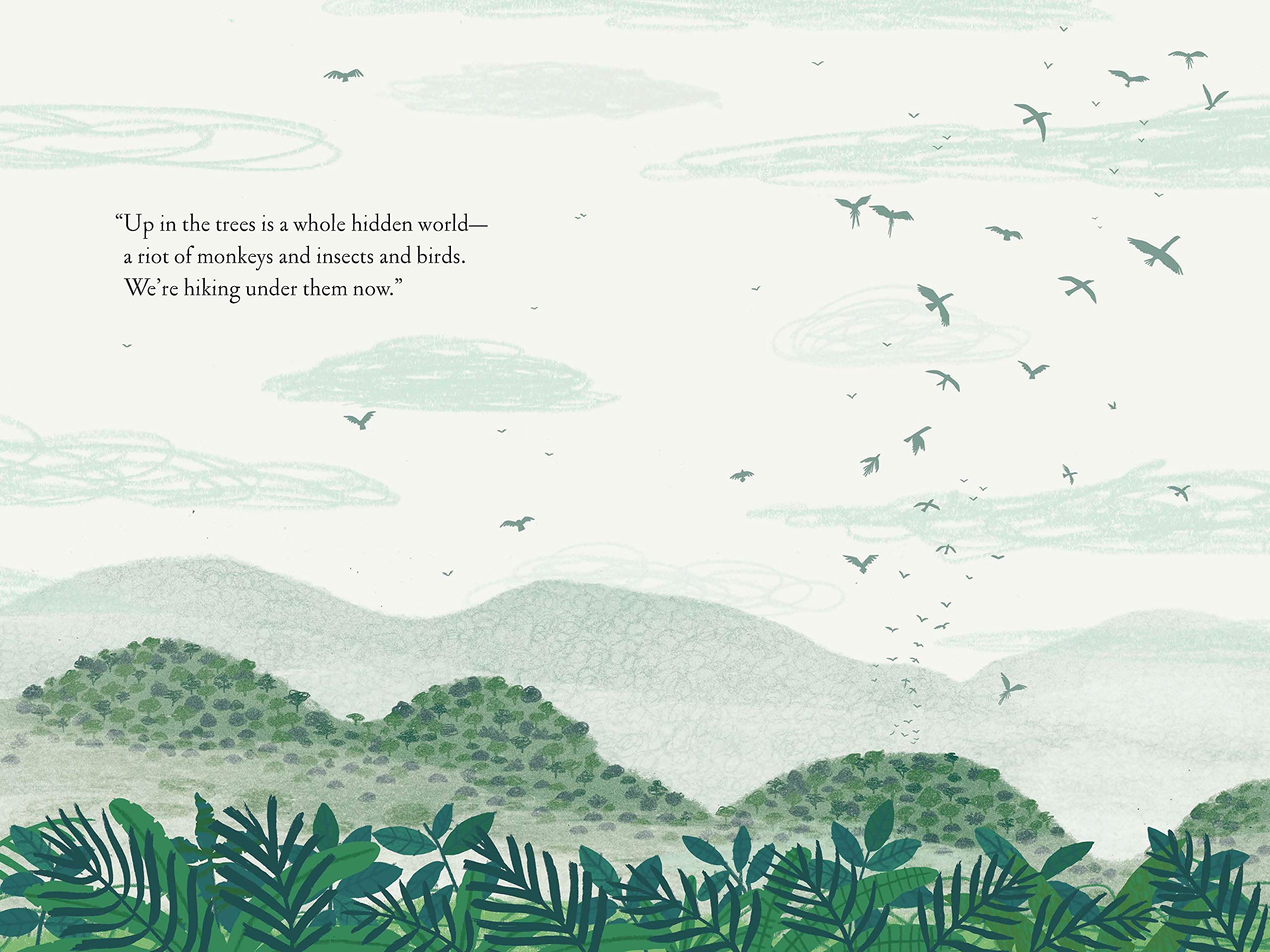 celebrate-picture-books-picture-book-review-over-and-under-the-rainforest-birds