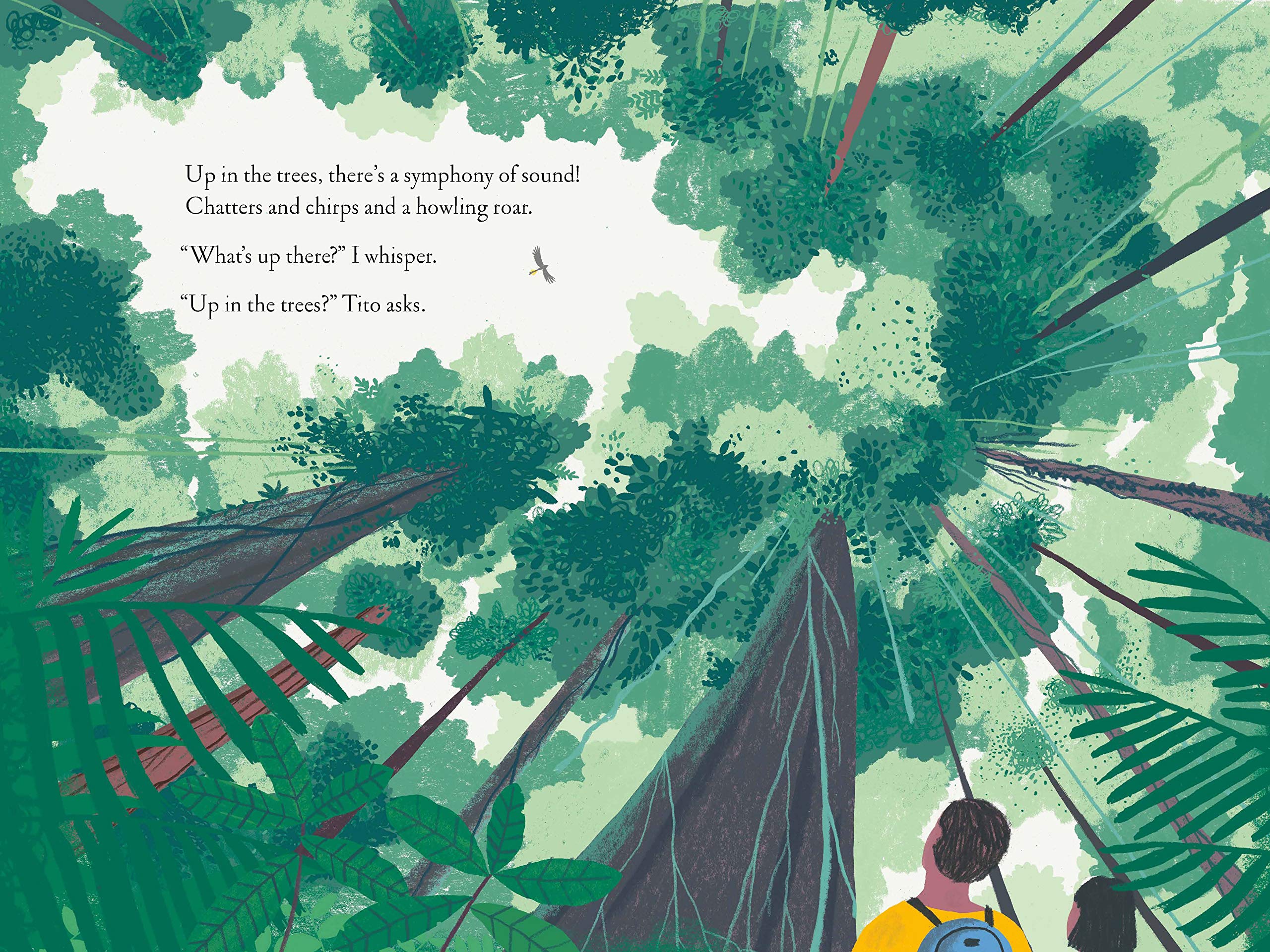 celebrate-picture-books-picture-book-review-over-and-under-the-rainforest-treetops