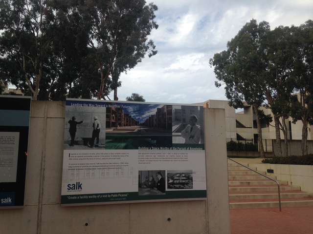 celebrate-picture-books-picture-book-review-the-polio-pioneer-linda-elovitz-marshall-interview-salk-institute