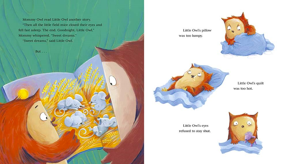 celebrate-picture-books-picture-book-review-little-owl's-bedtime-second-story