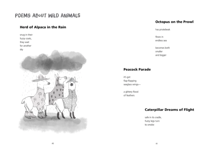 celebrate-picture-books-picture-book-review-this-poem-is-a-nest-animals