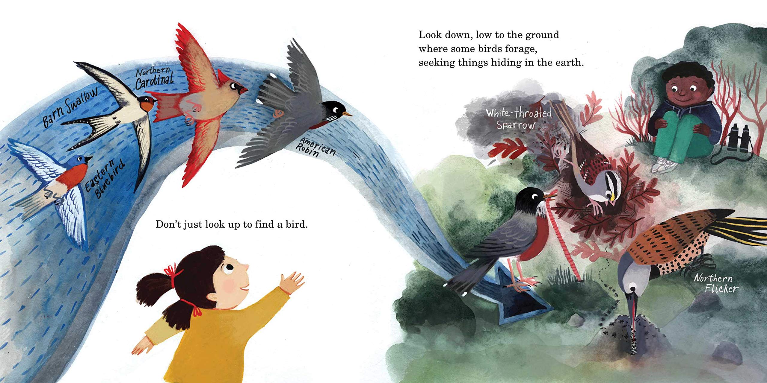 celebrate-picture-books-picture-book-review-how-to-find-a-bird-ground-birds