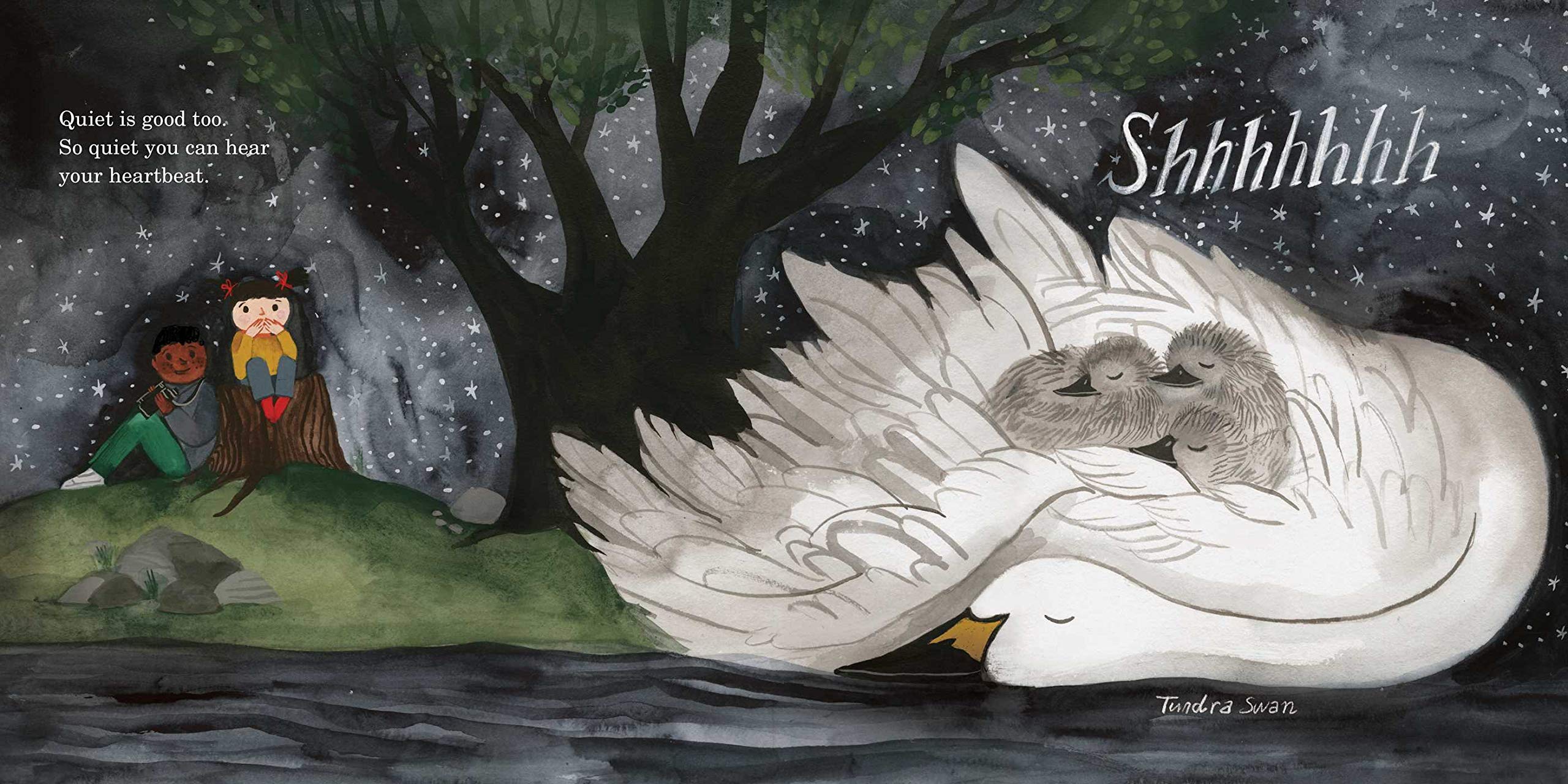 celebrate-picture-books-picture-book-review-how-to-find-a-bird-swan