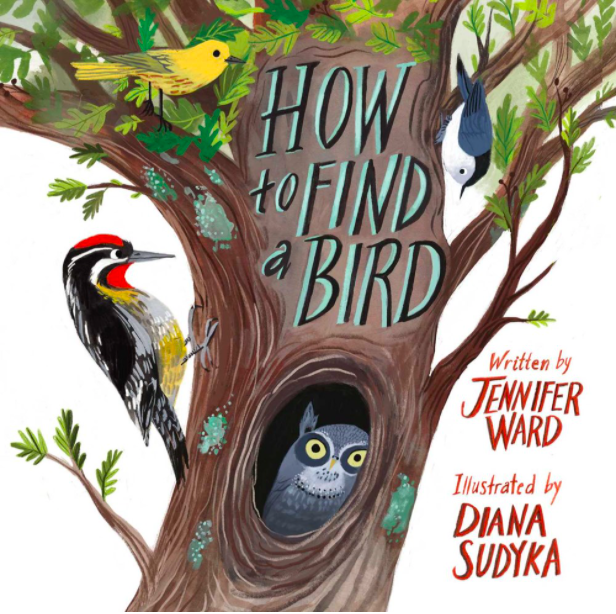 celebrate-picture-books-picture-book-review-how-to-find-a-bird-cover