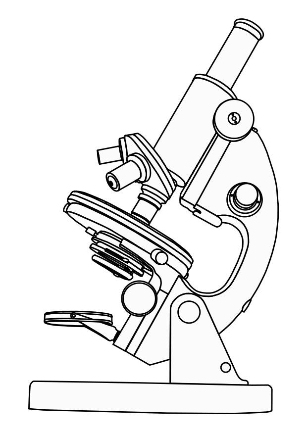 celebrate-picture-books-picture-book-review-microscope-coloring-page