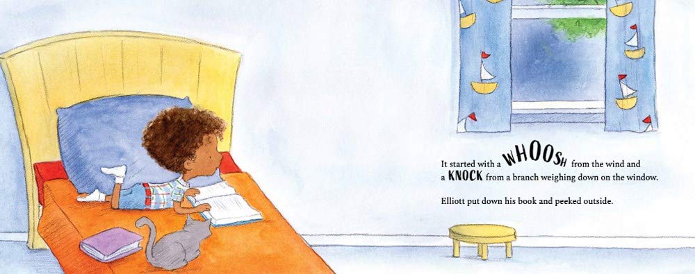 celebrate-picture-books-picture-book-review-sunday-rain-wind