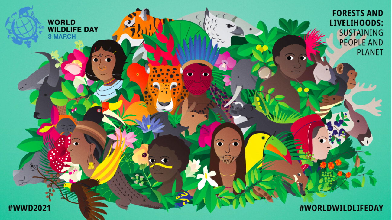 celebrate-picture-books-picture-book-review-world-wildlife-day-poster-2021