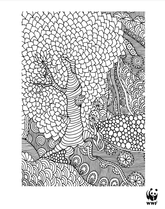 Screen Shot 2021-03-02 at 9.24.20 PM