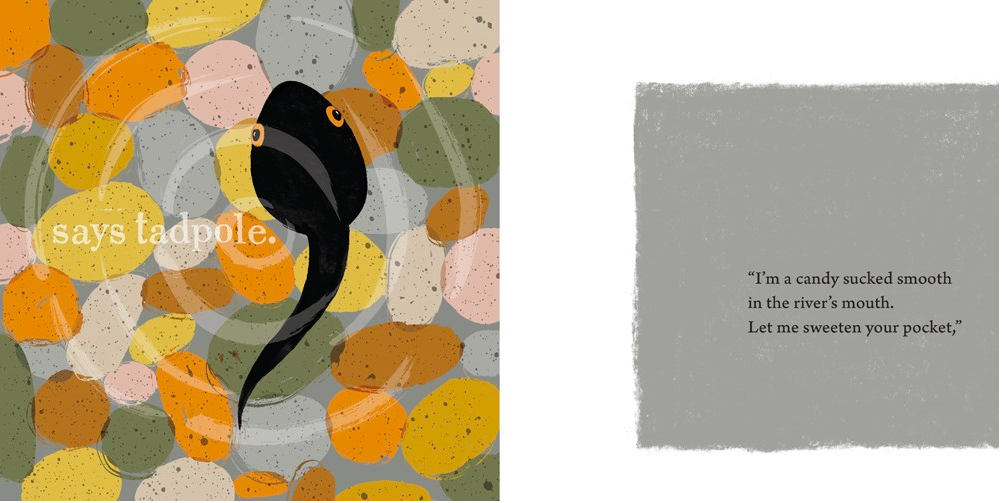 celebrate-picture-books-picture-book-review-a-new-green-day-tadpole