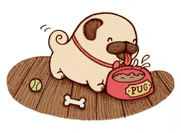 celebrate-picture-books-picture-book-review-Pig-Meets-Pug-pug