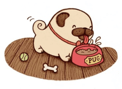 celebrate-picture-books-picture-book-review-Pig-Meets-Pug-pug