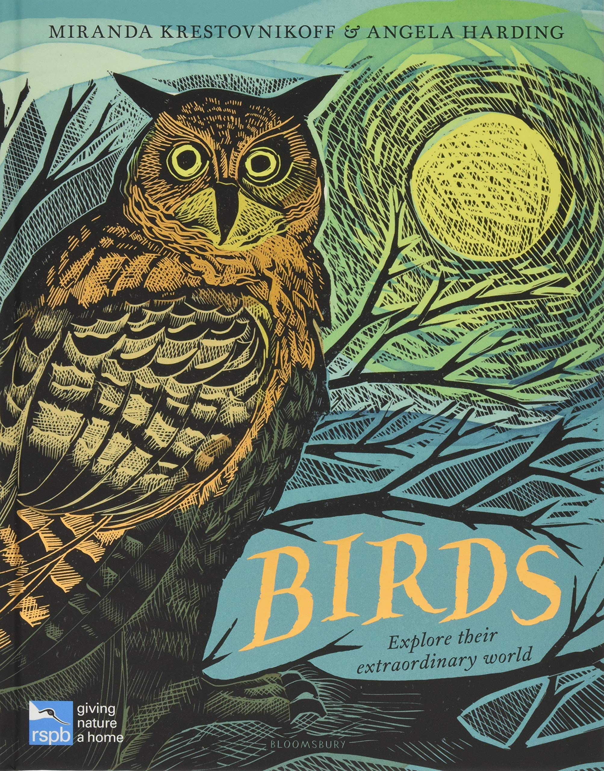 celebrate-picture-books-picture-book-review-birds-explore-their-extraordinary-world-cover