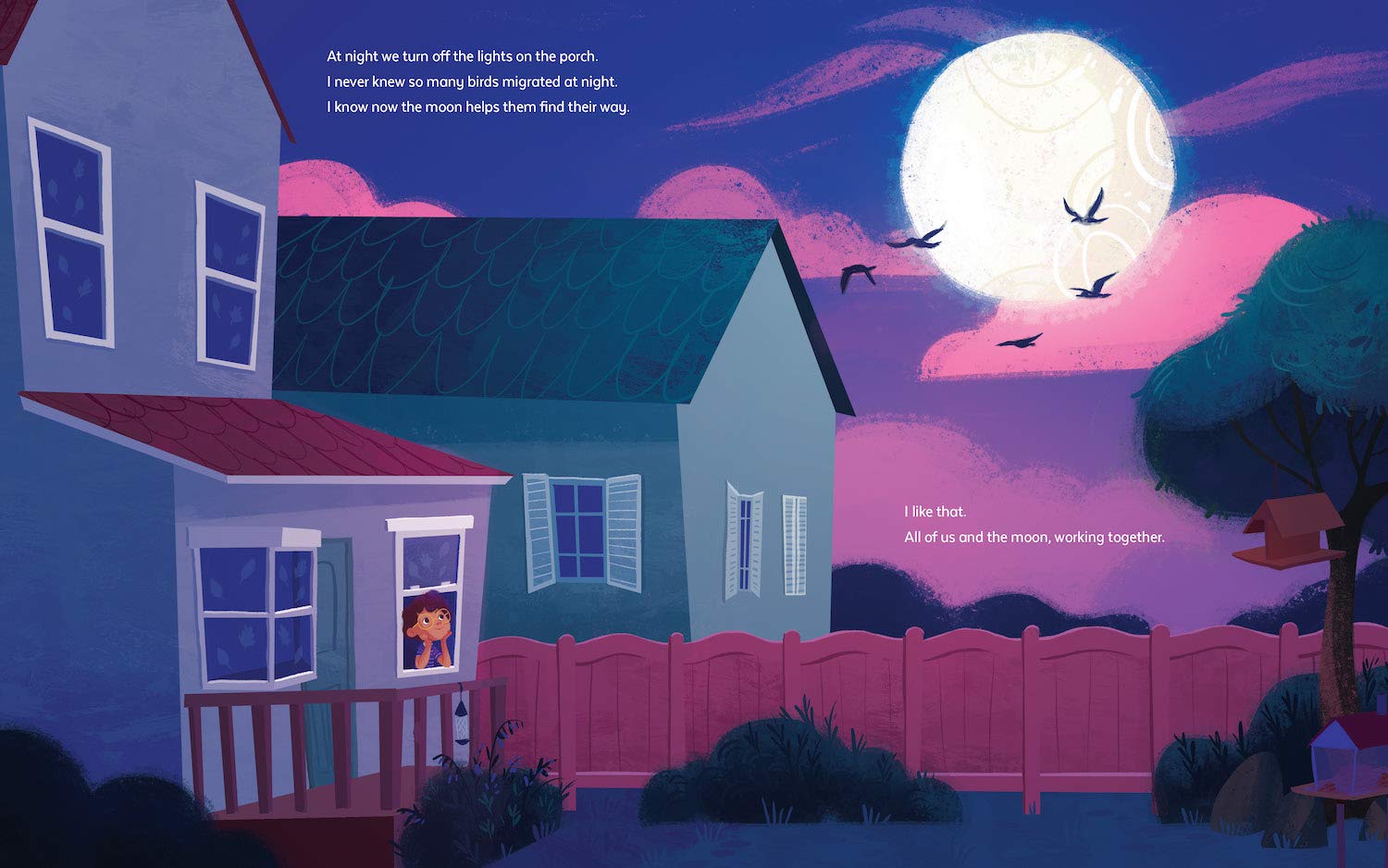 celebrate-picture-books-picture-book-review-a-garden-to-save-the-birds-night