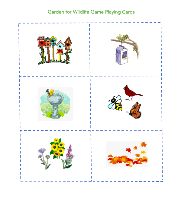 celebrate-picture-books-picture-book-review-garden-for-wild-life-playing-cards