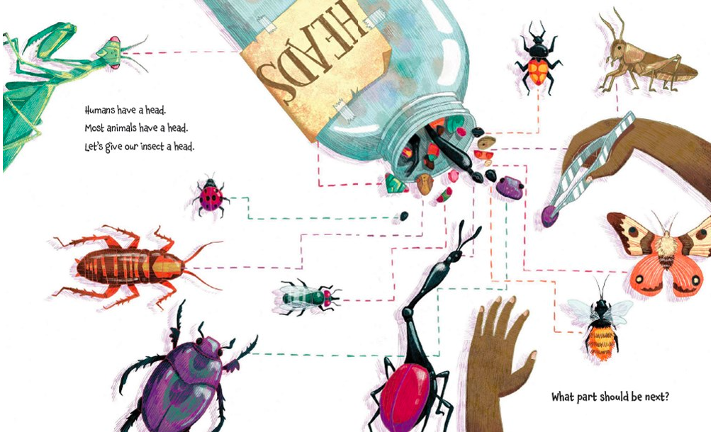 celebrate-picture-books-picture-book-review-how-to-build-an-insect-heads