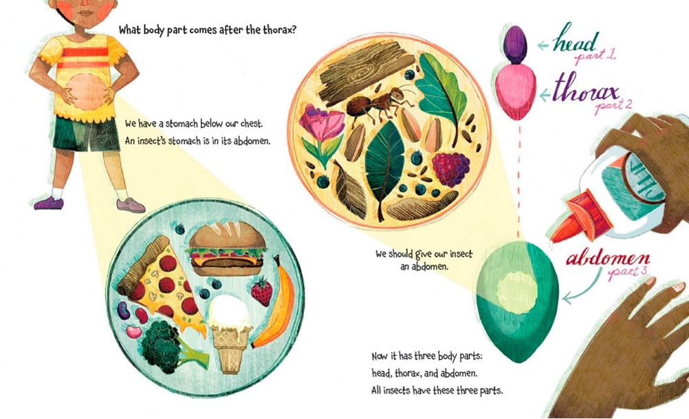 celebrate-picture-books-picture-book-review-how-to-build-an-insect-abdomen