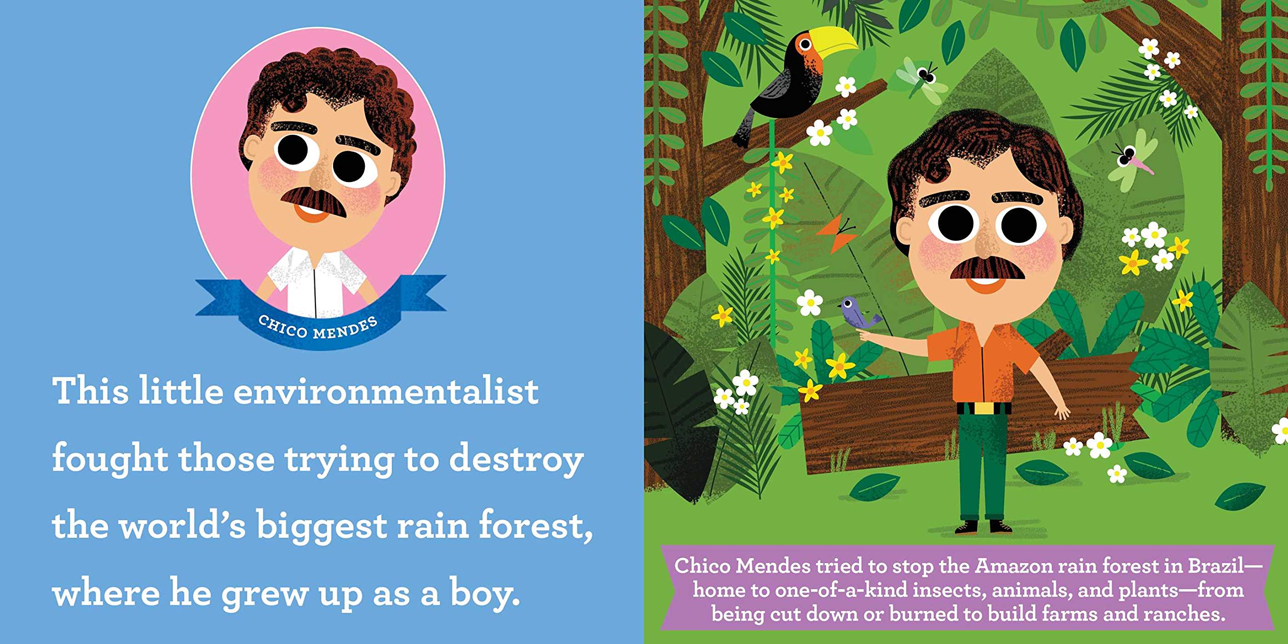 celebrate-picture-books-picture-book-review-this-little-environmentalist-chico-mendes