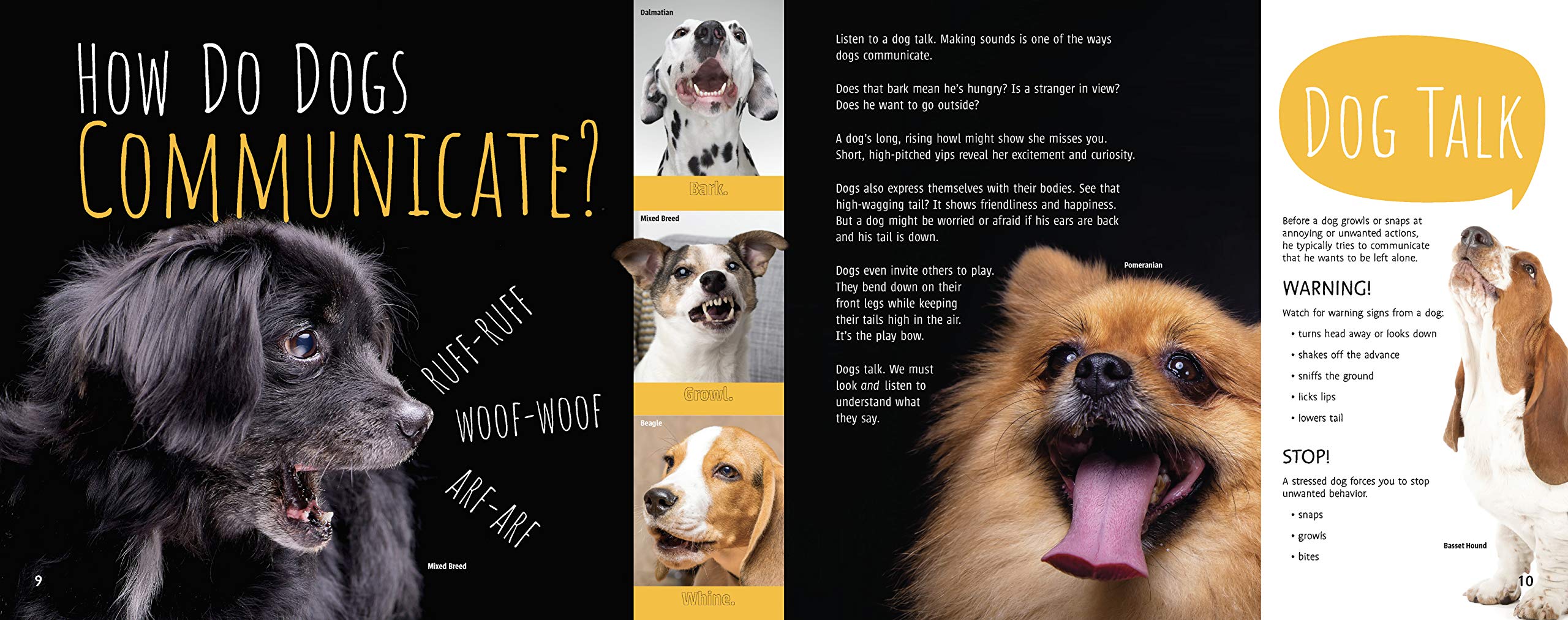 celebrate-picture-books-picture-book-review-woof!-the-truth-about-dogs-communicate