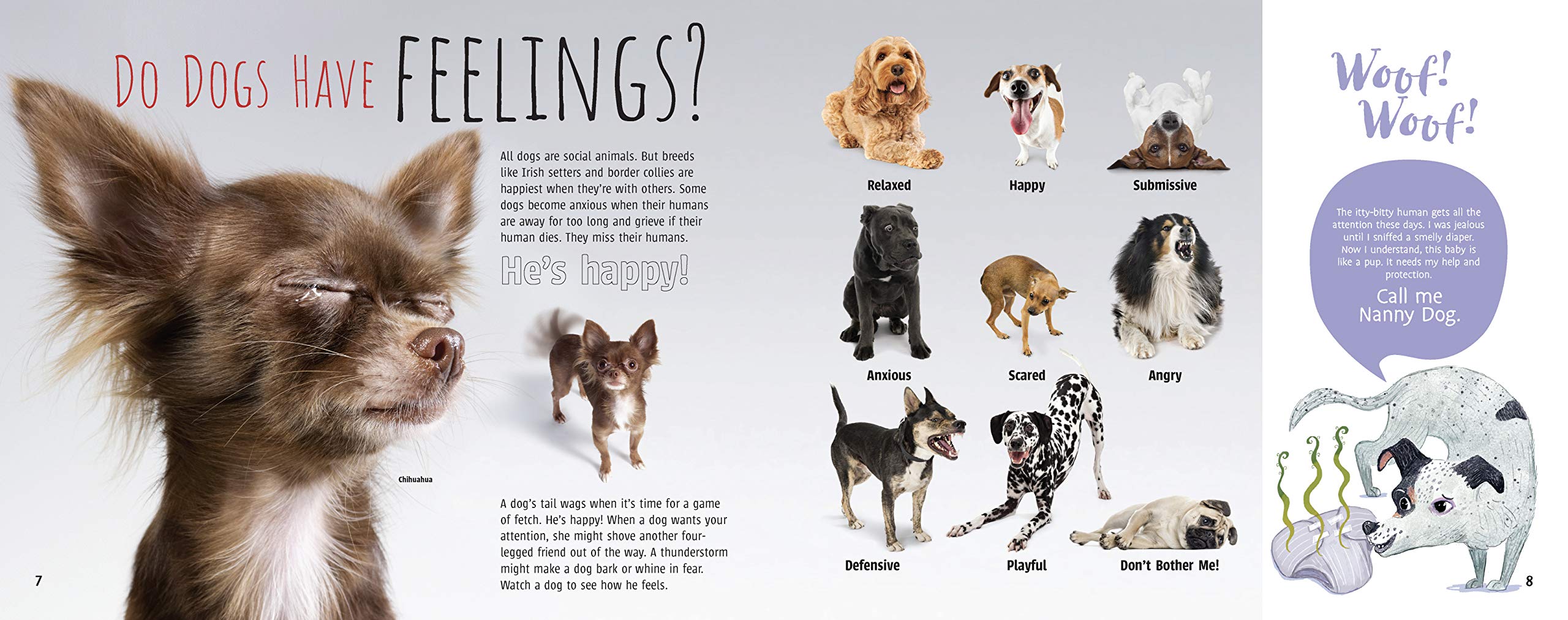 celebrate-picture-books-picture-book-review-woof!-the-truth-about-dogs-feelings
